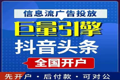 XX领域竞价广告的投放策略及效果展示
